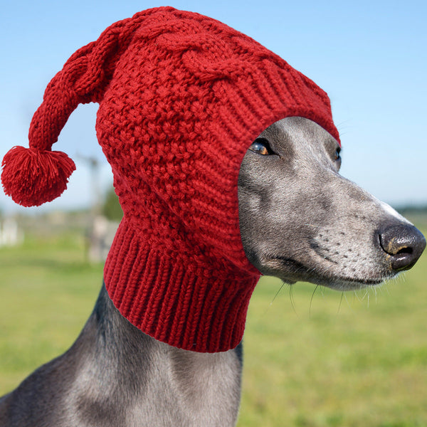 Size L Red Whimsical Knit Dog Hat With Pom Cozy Winter Pet Beanie & Snood Dog Clothing & Shoes