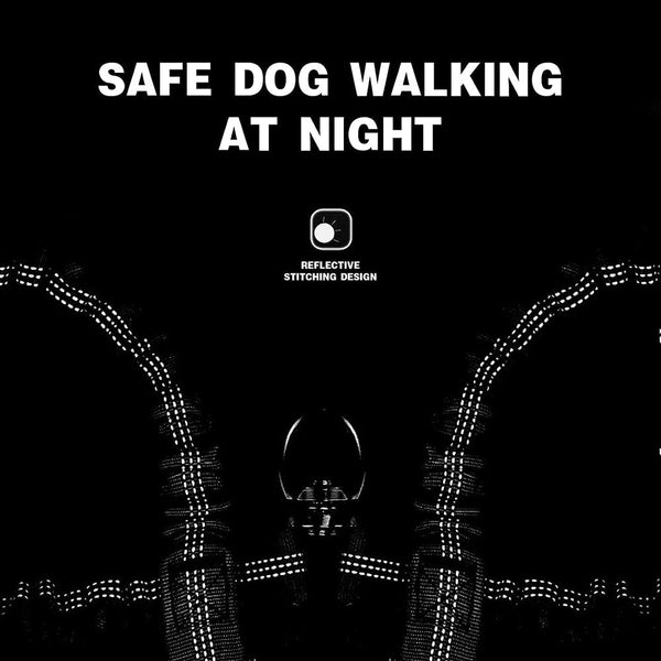 Black 3 In 1 Tangle Free Dog Leash For Dogs Heavy Duty Bungee Coupler With Reflective Stitching & Padded Handle Leads & Head Collars