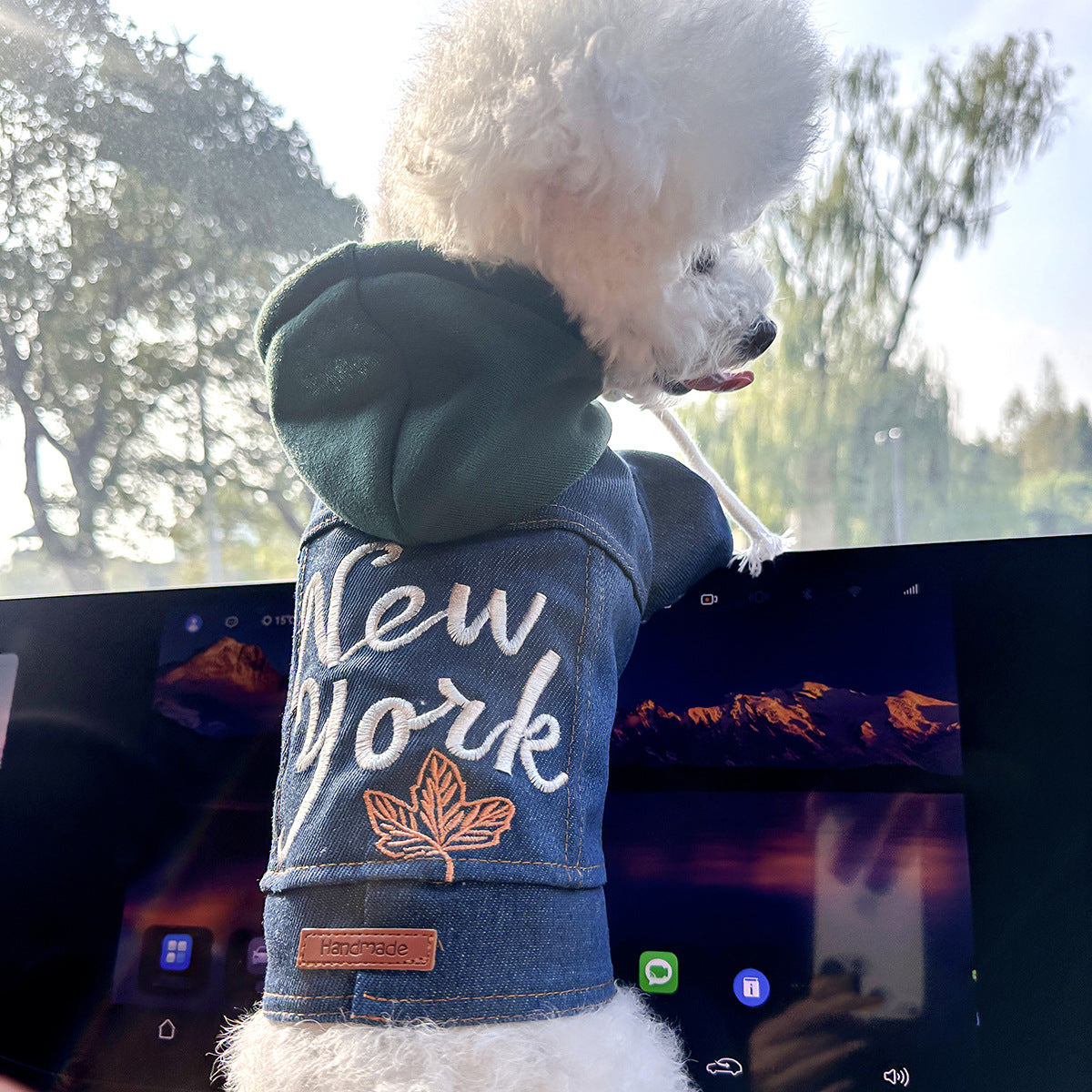 New York Denim Chic Pet Vest Stylish Jean Jacket For Dogs Cats Xs Around 2Kg Dog Clothing & Shoes