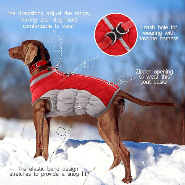 L Red Grey Premium Winter Puffer Dog Coat Windproof & Fleece Lined Jacket For Cold Weather Dog Clothing & Shoes
