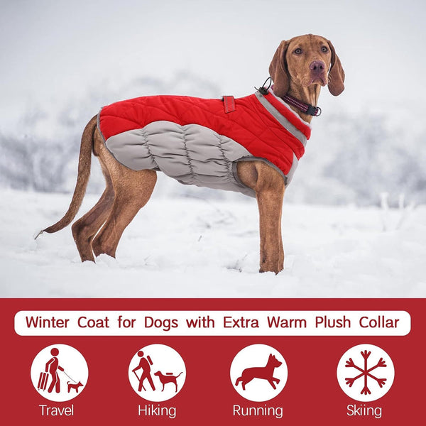 Xl Red Grey Premium Winter Puffer Dog Coat Windproof And Fleece Lined Jacket For Cold Weather Dog Clothing & Shoes