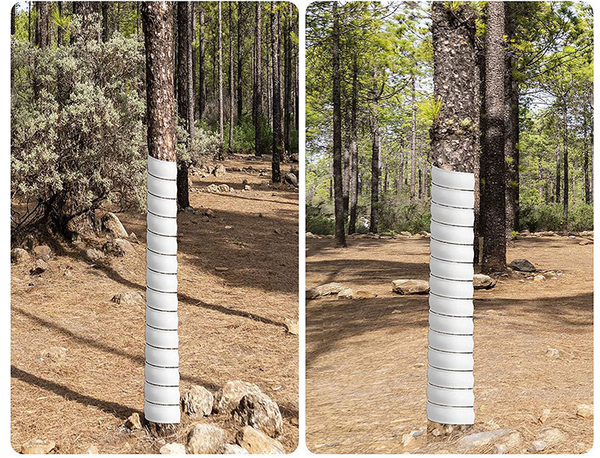 White 4 Pack Spiral Tree Trunk Protector Guard Flexible Sapling Bark Shield Garden Edging & Borders