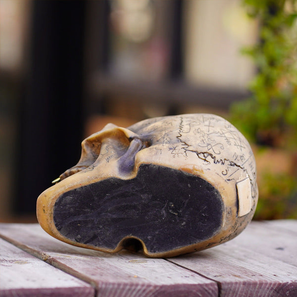 Mystic Runic Skull Statue With Gold Fang Hand Painted Resin Figurine For Gothic & Halloween Decor Sculptures & Figurines