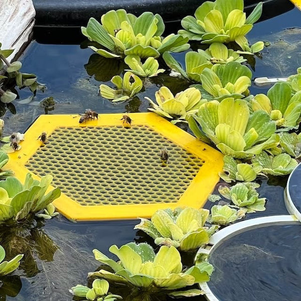2Pcs L 210X180x3.5Mm Yellow Floating Bee Saver Waterer Safe Drinking Platform For Garden Ponds & Bird Baths