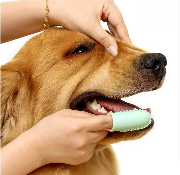 Yellow 5 Pack Pet Finger Toothbrush Set For Dogs & Cats Soft Silicone Dental Care Brush Healthy Gums Teeth Oral Hygiene