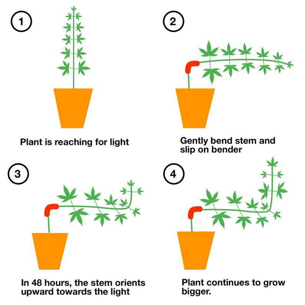 60Pcs Red 90 Degree Plant Bender Clips For Low Stress Training (Lst) Reusable Stem & Branch Trainer Increased Yields Plant Ties & Supports