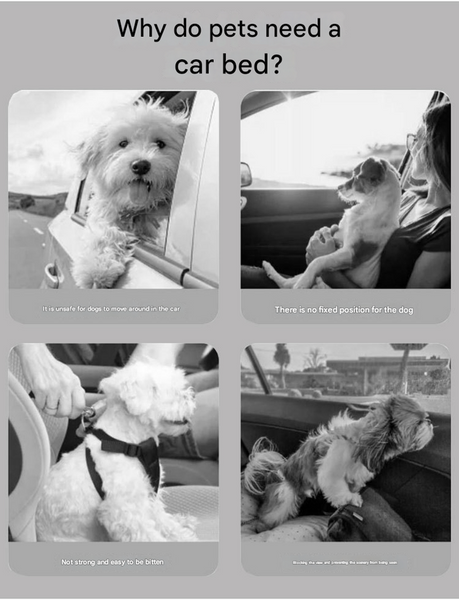 Turquoise Plush Dog Car Booster Seat 2 In 1 Travel Bed For Small Dogs With Washable Cover Pet Transport