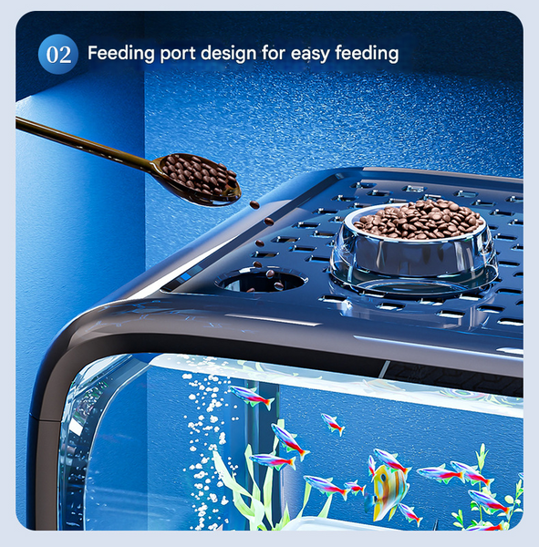 Brownmodern Desktop Aquarium & Turtle Tank Panoramic Viewing Fish Tank With Basking Platform & Lid Aquariums