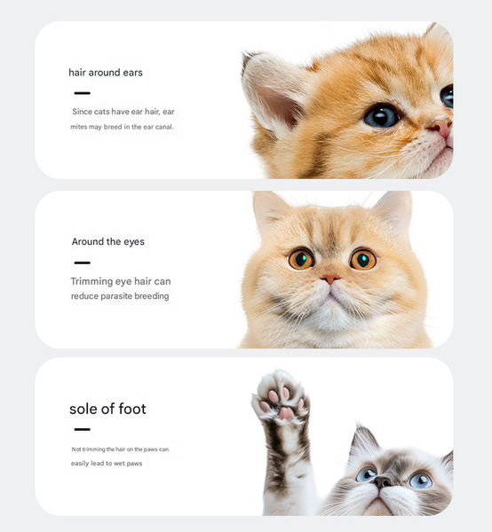 Pink Precision Pet Paw Trimmer Waterproof & Rechargeable Grooming Clipper For Dog Cat Paws Eyes And Ears Dog Grooming