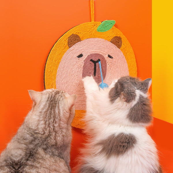 Fruit Themed Capybara Cat Scratching Pad Sisal Rope Eva Non Slip Backing Hanging Or Floor Use(Orange) Furniture & Scratchers