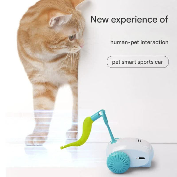 Interactive Smart Cat Toy Car Automatic Obstacle Avoidance Feather Tail Usb Rechargeable(Blue) Cat Toys