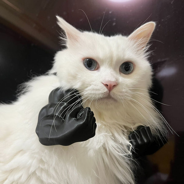 2Pc Hilarious Muscle Arm Pet Costume Prop Funny Novelty Arms For Cats & Small Dogs(Red) Dog Costumes