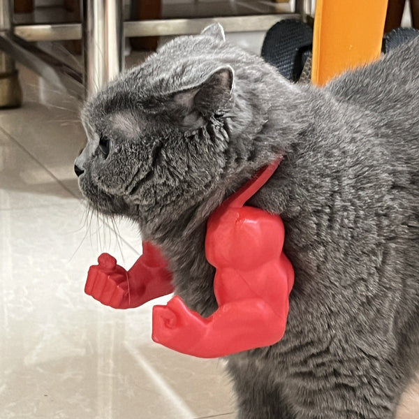 2Pc Hilarious Muscle Arm Pet Costume Prop Funny Novelty Arms For Cats & Small Dogs(Red) Dog Costumes