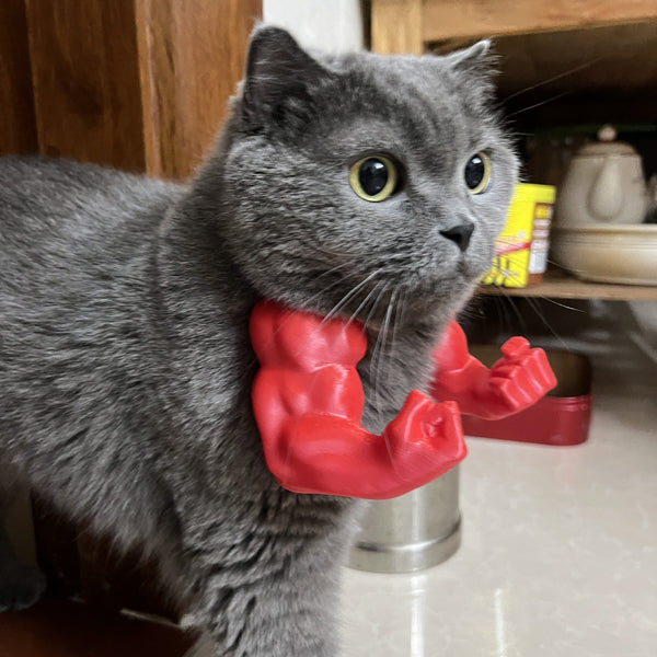 2Pc Hilarious Muscle Arm Pet Costume Prop Funny Novelty Arms For Cats & Small Dogs(Red) Dog Costumes