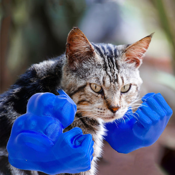 2Pc Hilarious Muscle Arm Pet Costume Prop Funny Novelty Arms For Cats & Small Dogs(Blue) Dog Costumes