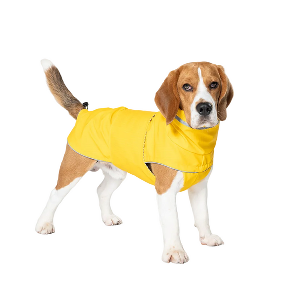 Yellow All Season Pet Raincoat Waterproof & Dustproof High Collar Dog Windbreaker For Spring Dog Clothing & Shoes