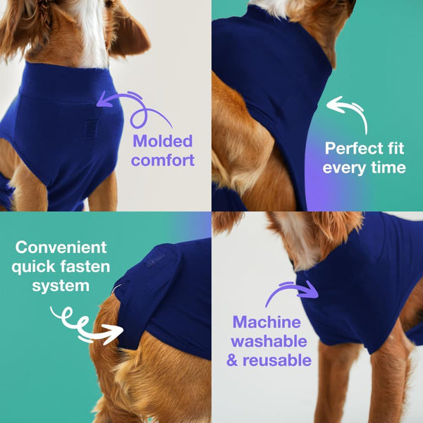 Blue Premium Pet Physiological Suit Comfortable & Breathable Bamboo Modal Recovery Dog Clothing & Shoes