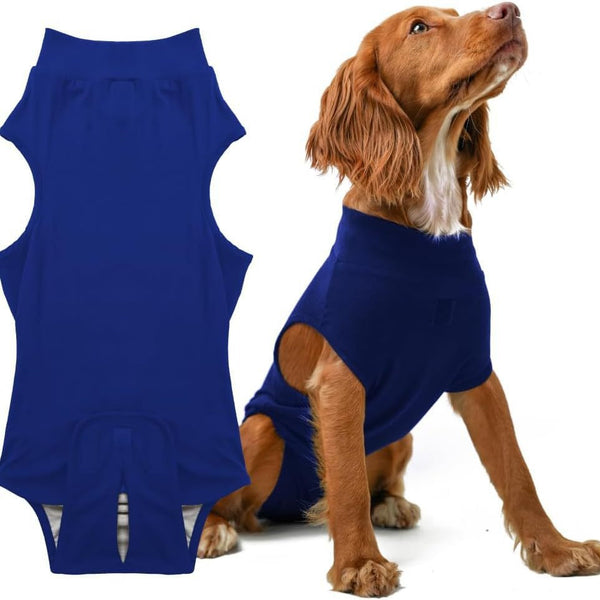 Premium Pet Physiological Suit Comfortable And Breathable Bamboo Modal Recovery Blue Dog Clothing & Shoes