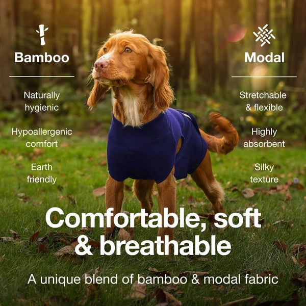 Premium Pet Physiological Suit Comfortable And Breathable Bamboo Modal Recovery Blue Dog Clothing & Shoes