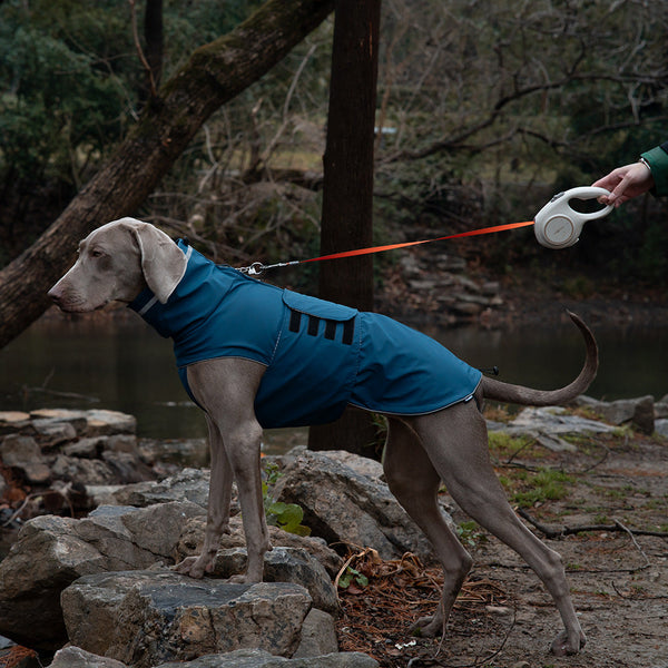 Dark Blue All Season Pet Raincoat Waterproof & Dustproof High Collar Dog Windbreaker For Spring Dog Clothing & Shoes