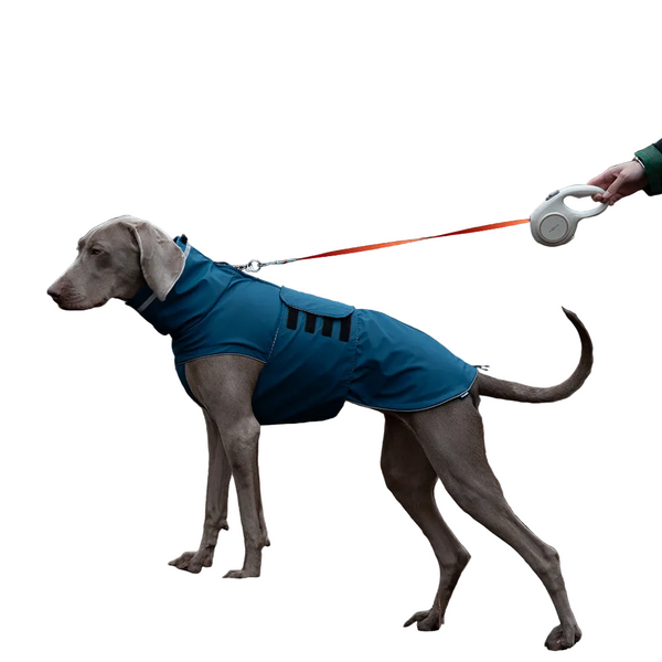 Dark Blue All Season Pet Raincoat Waterproof & Dustproof High Collar Dog Windbreaker For Spring Dog Clothing & Shoes