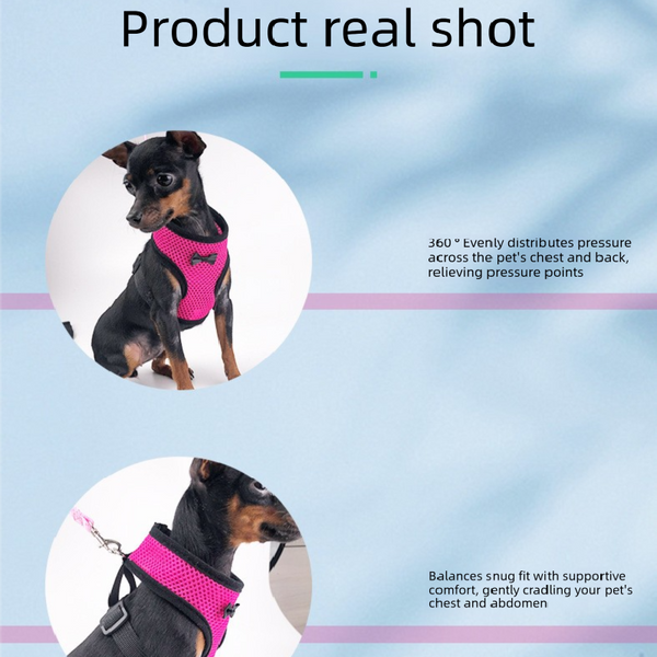 2 Pcs Red Pet Harness With Leash Breathable Mesh Design For Small Dogs Cats Chickens Ducks & More | Anti Escape 360A Support Lightweight Comfortable I