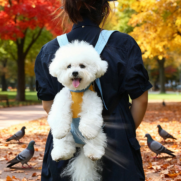 Red Denim Blue Pet Carrier Backpack Front Chest Pack Legs Out Breathable Mesh For Small Dogs Cats Hiking Travel Hands Free Adjustable Design(Size:M) P