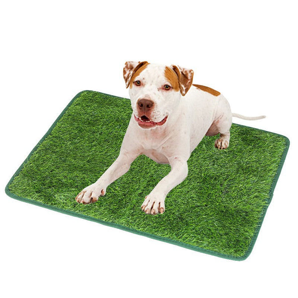S Size Realistic Dog Potty Pad Indoor/Outdoor Pet Training Turf Easy To Clean & Tpr Material Artificial Grass