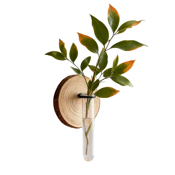 Wall Mounted Hydroponic Plant Test Tubeflower Pot For Indoor Plants & Cuttings Vases
