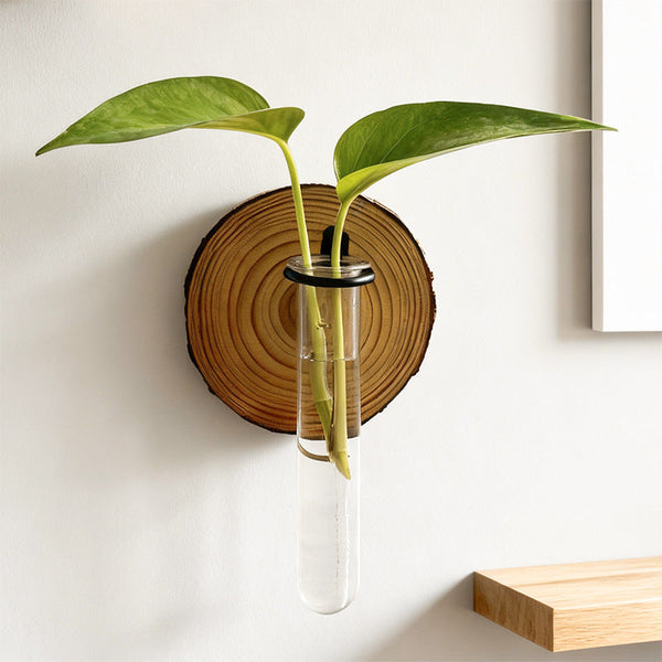 Wall Mounted Hydroponic Plant Test Tubeflower Pot For Indoor Plants & Cuttings Vases