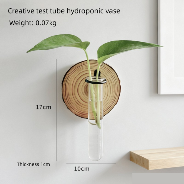 Wall Mounted Hydroponic Plant Test Tubeflower Pot For Indoor Plants & Cuttings Vases