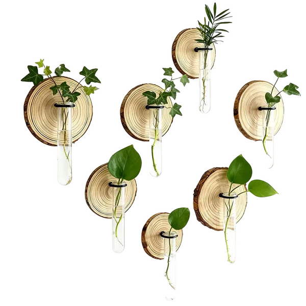 6 Pack Wall Mounted Hydroponic Plant Test Tubeflower Pot For Indoor Plants & Cuttings Vases