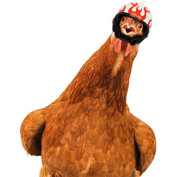 Yellow Pet Chicken Helmet Set Of 3 Protective Headgear For Chicks Hens And Birds Small Animal Supplies