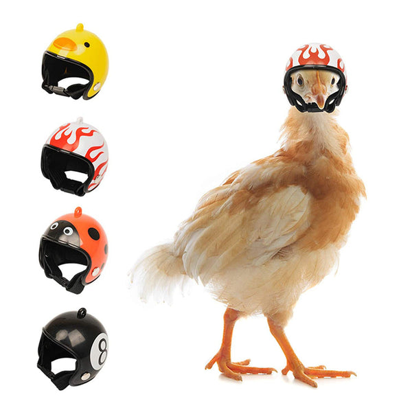 Yellow Pet Chicken Helmet Set Of 3 Protective Headgear For Chicks Hens And Birds Small Animal Supplies