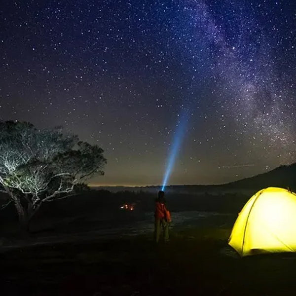 Duo 2 Pack Glow In The Dark Flashlights