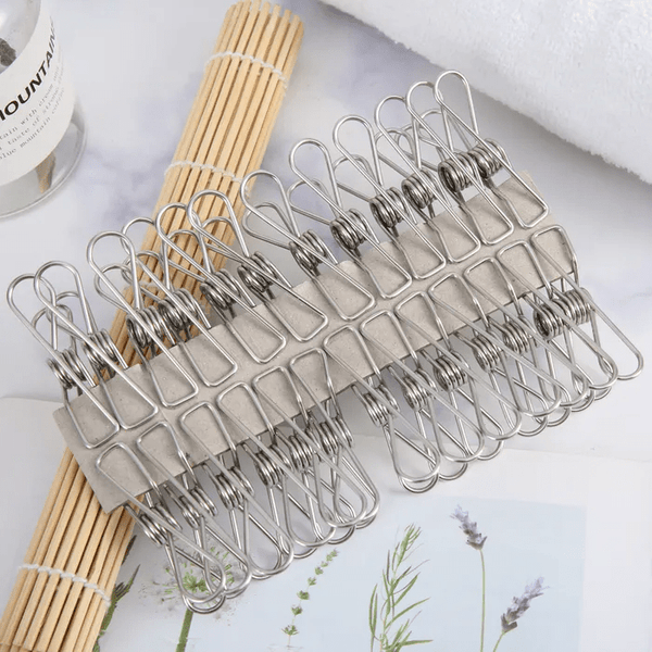100Pcs Stainless Steel Pegs Pegs & Peg Bags