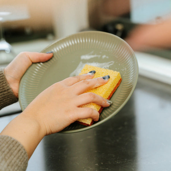 Clevinger 2Pcs Cellulose Cleaning Sponges Sponges & Scourers