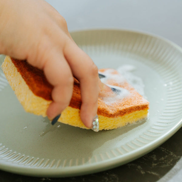 Clevinger 2Pcs Cellulose Cleaning Sponges Sponges & Scourers