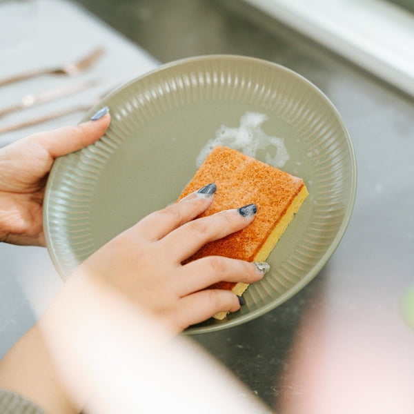 Clevinger 6Pc Cellulose Cleaning Sponges Sponges & Scourers