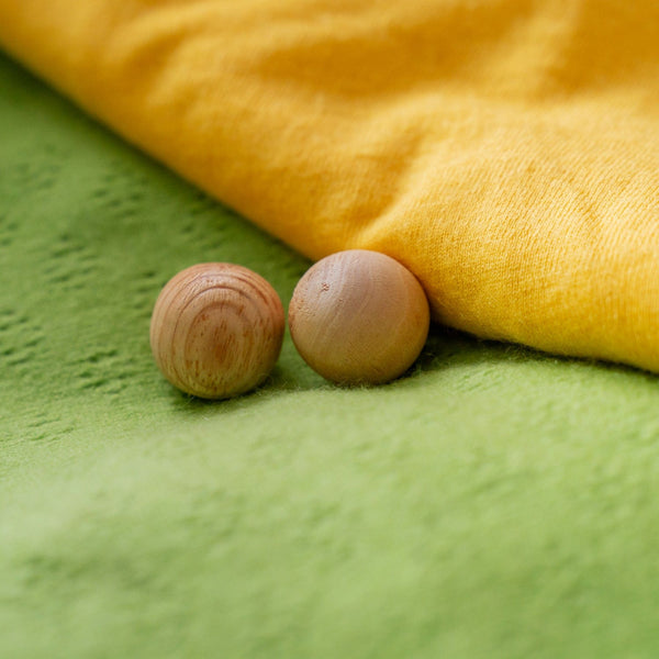 Living Today 16Pc Cedar Wood Balls Home Fragrances