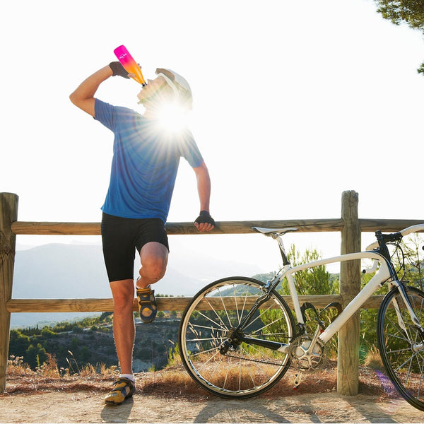 Lazy Dayz Daily Drink Bottle 500Ml Orange Pink Ombre Water Bottles & Vacuum Flasks