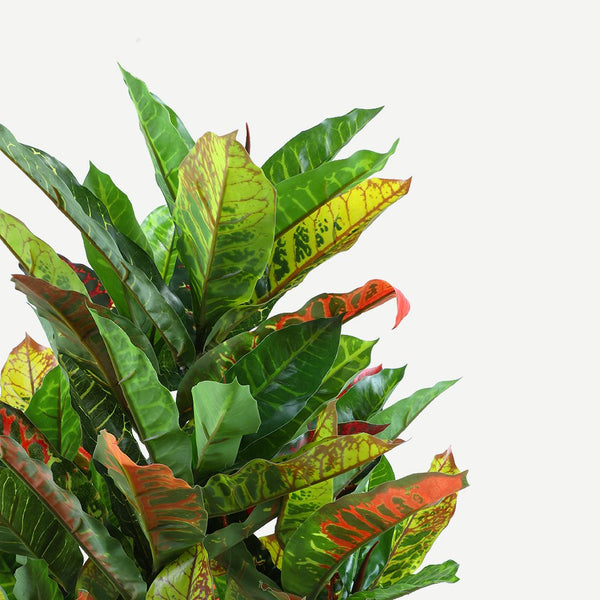 125Cm Faux Artificial Home Decor Potted Codiaeum Plant Artificial Plants