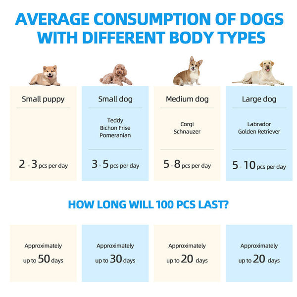 100Pcs Dog Absorbent Training Pad 60 X Cm Puppy Training Pads