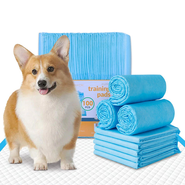 100Pcs Dog Absorbent Training Pad 60 X Cm Puppy Training Pads