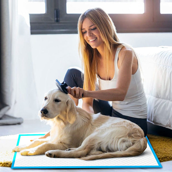 100Pcs Dog Absorbent Training Pad 60 X Cm Puppy Training Pads