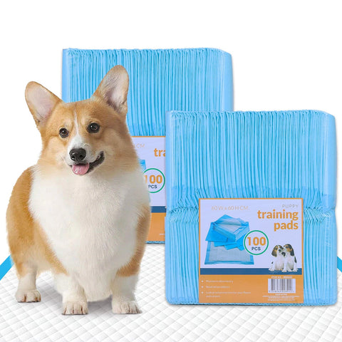 200Pcs Dog Absorbent Training Pad 60 X 60 Cm Puppy Training Pads