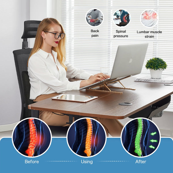 2 Pack Memory Foam Lumbar Support Cushion With Black Cover Seat & Posture Cushions