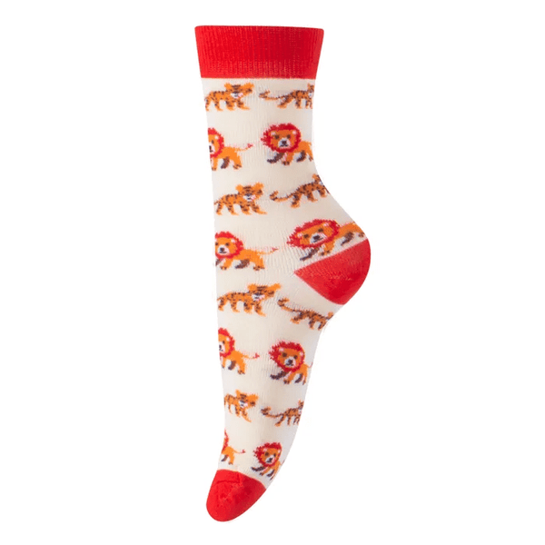 Gift Boxed 4 Pairs Boys Assorted Socks