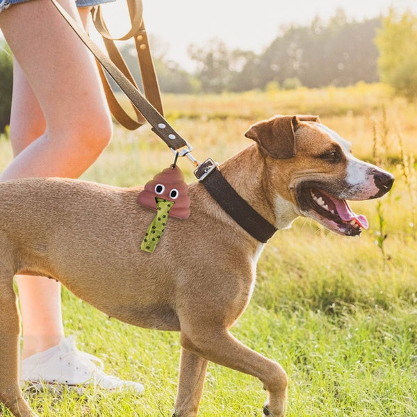 Livingtoday Pet Dog Poop Dispenser And 15 Biodegradable Unscented Waste Bags Pooper Scooper & Bags