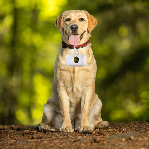 Livingtoday Pet Dog Poop Dispenser And 45 Biodegradable Unscented Waste Bags Pooper Scooper & Bags